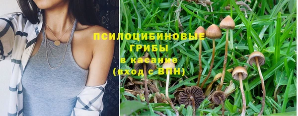 кокс Алзамай