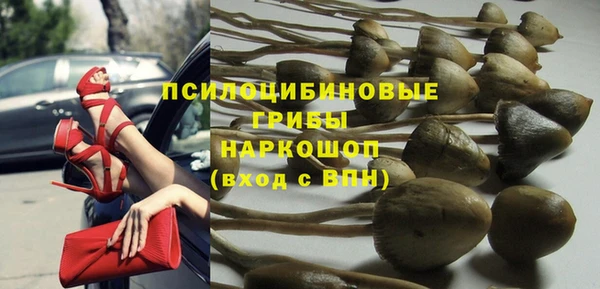 гидра Алексеевка